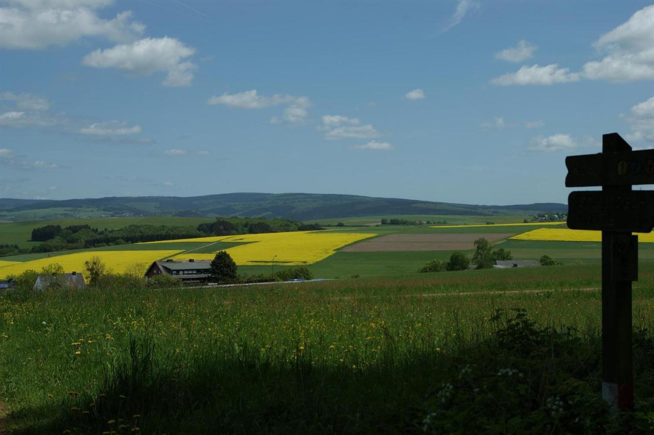 Klein'S Hochwaldscheune Pellingen Luaran gambar